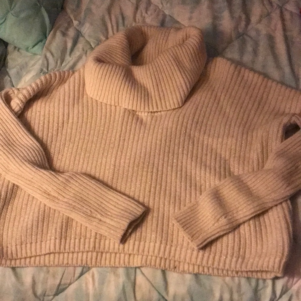 Super cozy Express cowl neck sweater